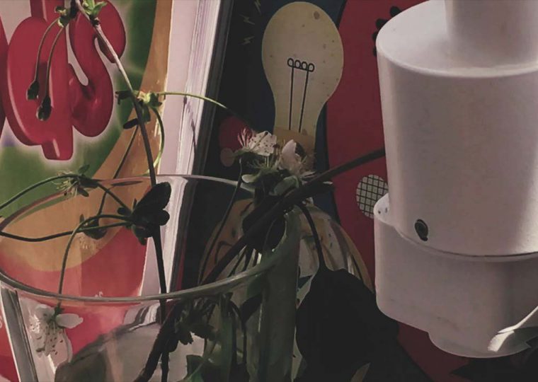 film-img-Garine-Torossian