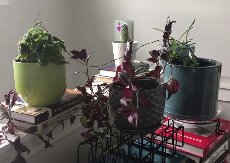 thetimeittakestohear