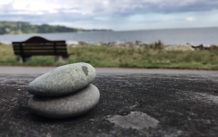 screenshot from Landscape