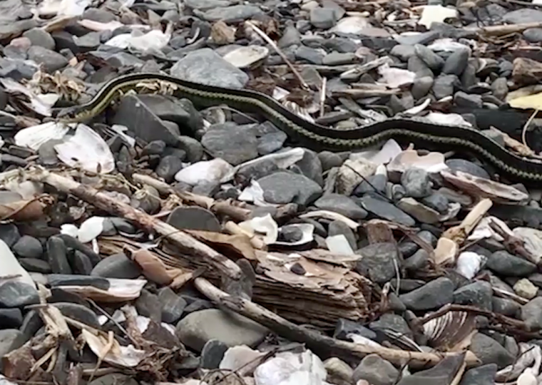 screenshot from Tire(d)