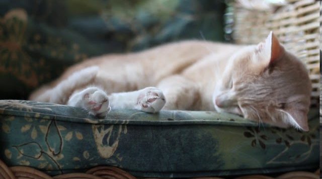 screenshot from Weather