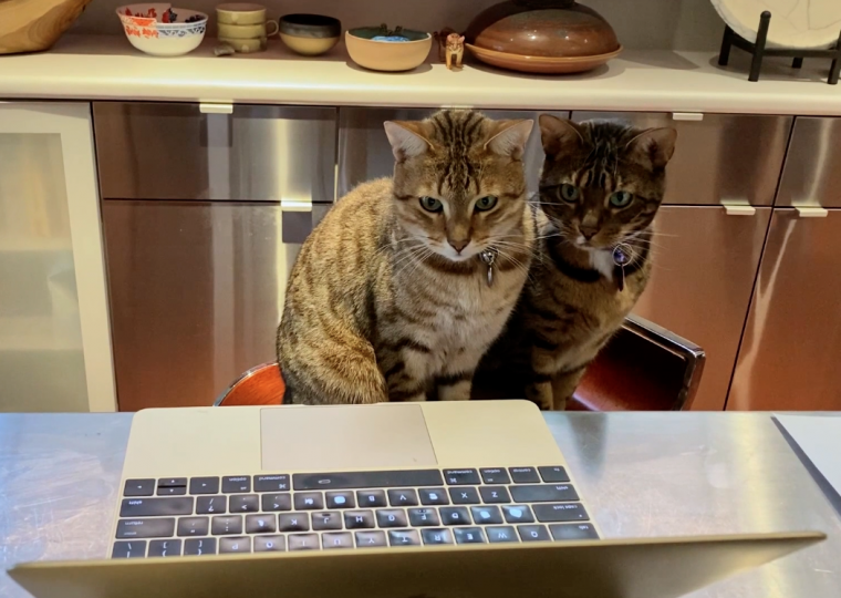 Screenshot from film Urban Life